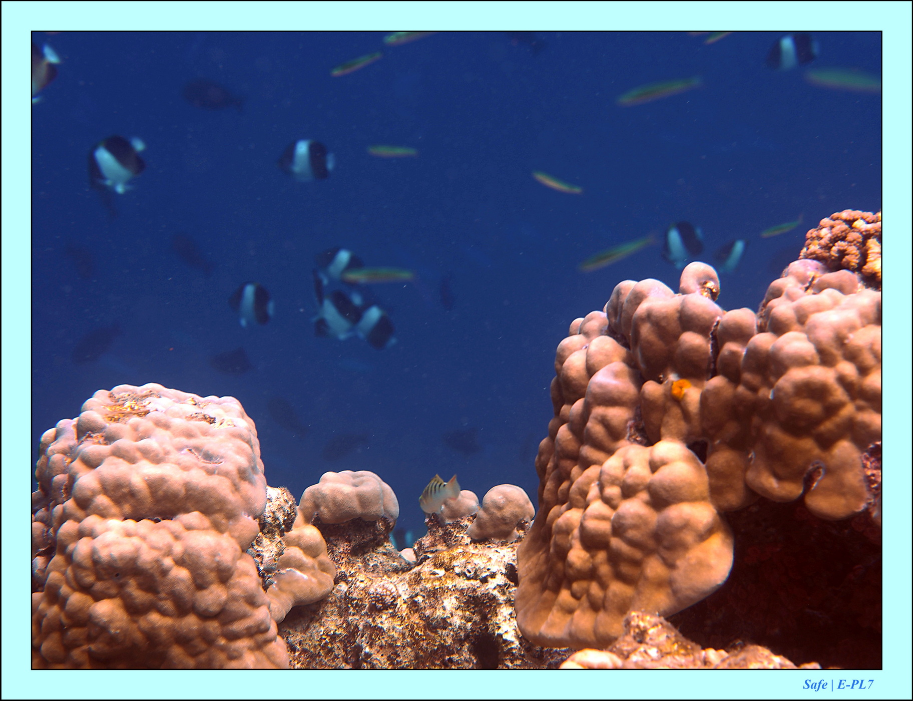 2023 - 07 - Sandies Bathala - 185